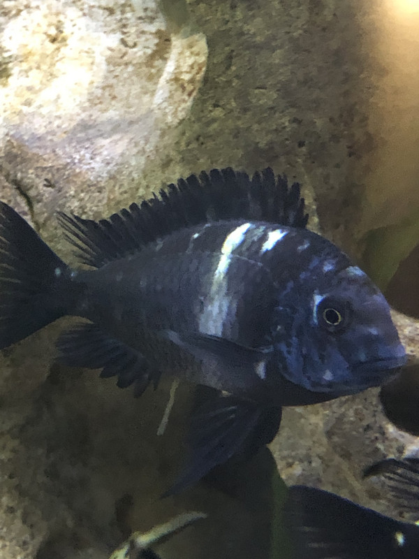 84DBE137-A53C-47AD-A9A4-CD9D3DCC5897