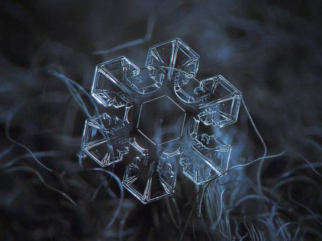 Amazing-19