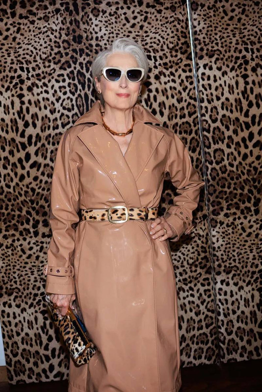 merylstreep3desertsandcolouredpvcmac.