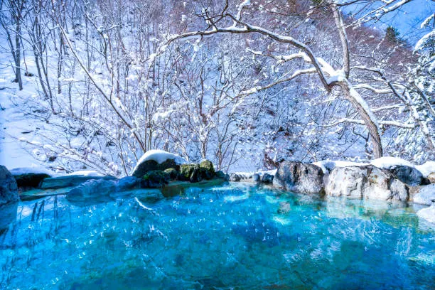 Japan – Snow Celebrations & Onsens
