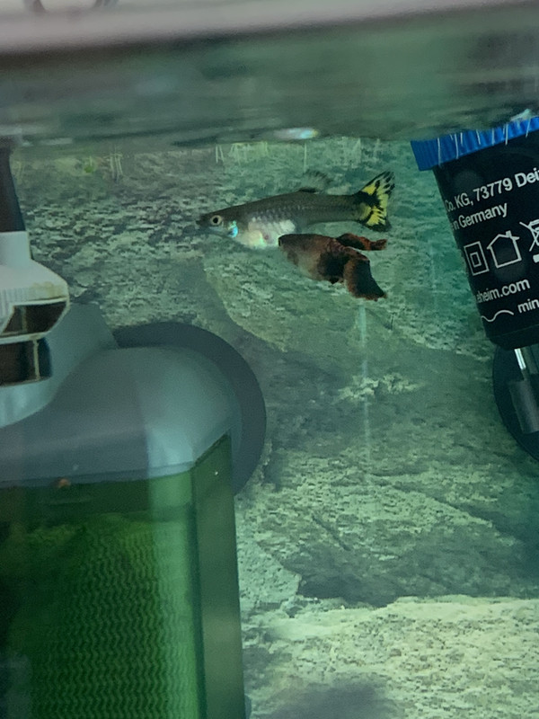 0C5F531F-F8A5-4F60-8CAC-D678AF4D318C