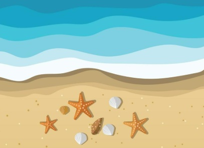 Le stelle marine dans Don Bruno Ferrero Le-stelle-marine