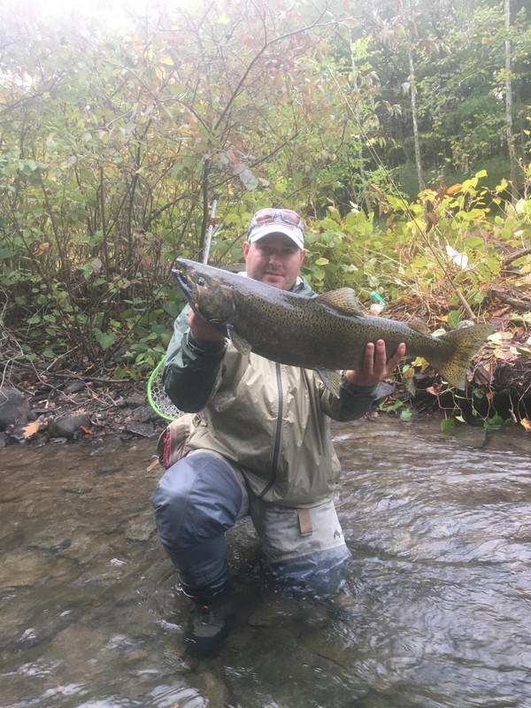 76B196B6-4BCB-454F-B839-C2251DCC95EE