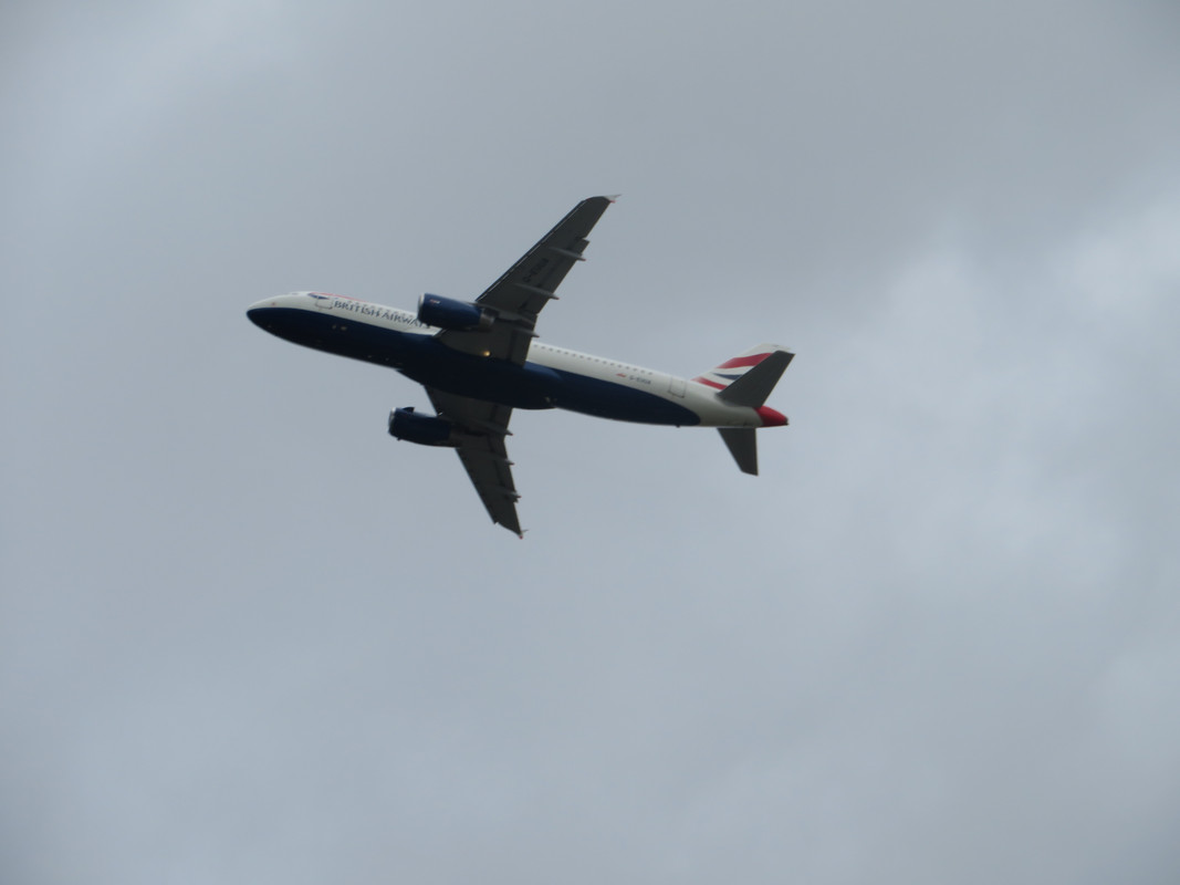 IMG_3096