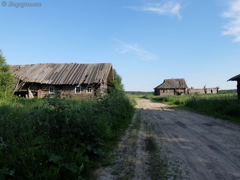 DSCF9067