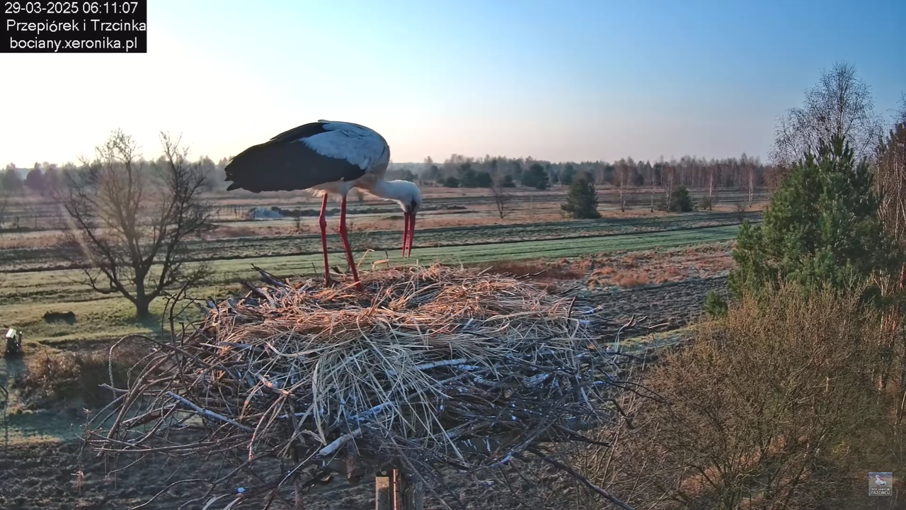 29032025porannezamieszanie_6