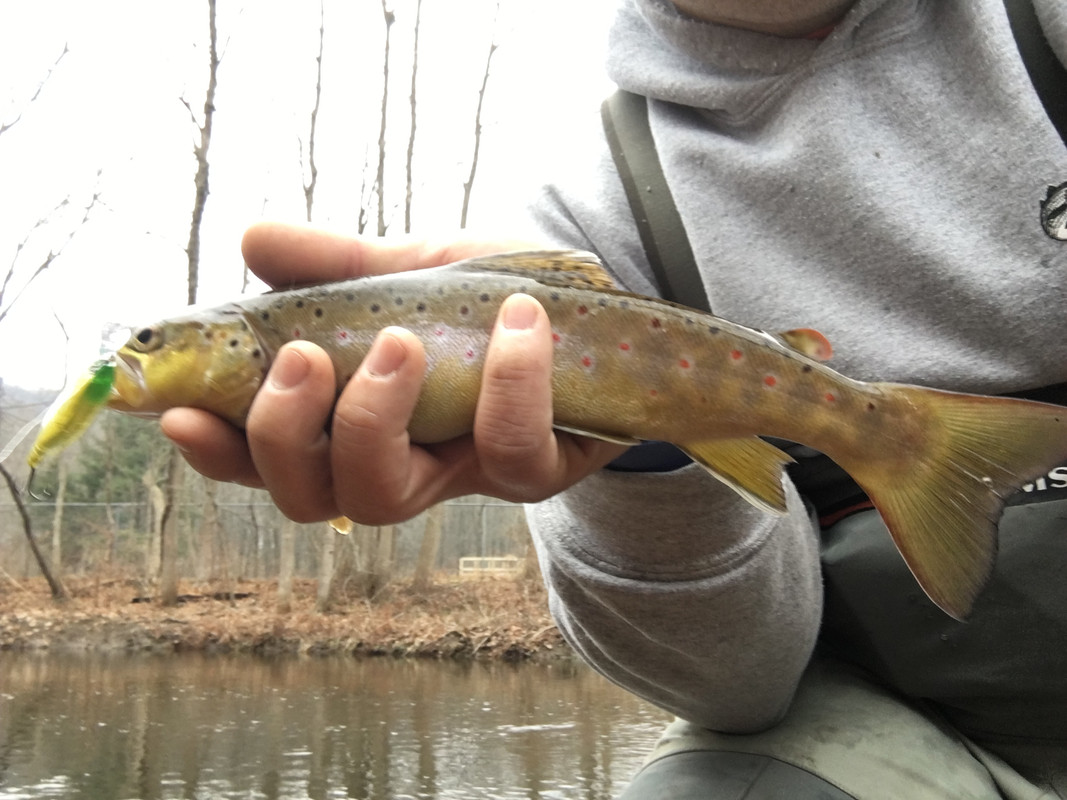 4C8A9ED8-A7BE-4513-A0EE-248F20D7D910