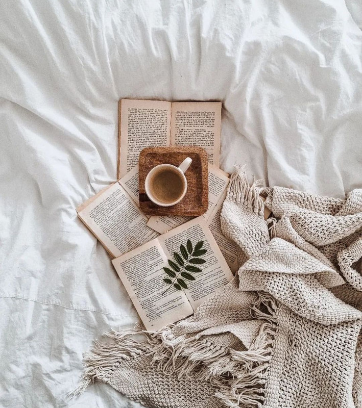 Screenshot_20240112_230409_Instagram