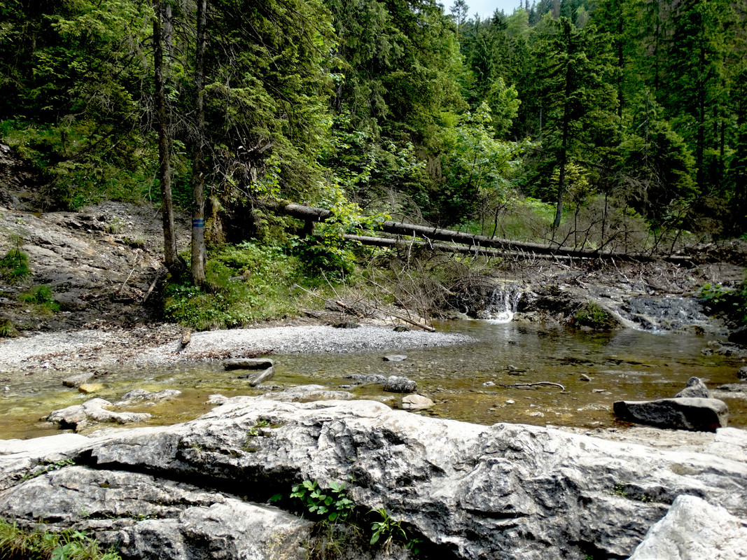 02.27 - DSC08014 (Czesio1)