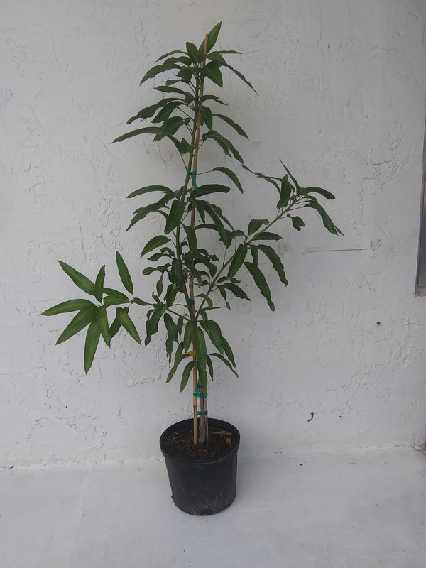 20190907_104923_Burst01