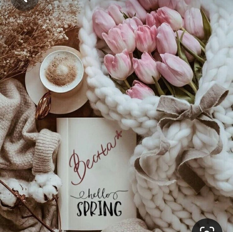 Screenshot_20230413_235311_Pinterest