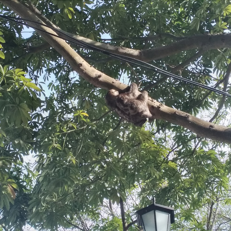 Зимовка 2026, полтора месяца в Колумбии.