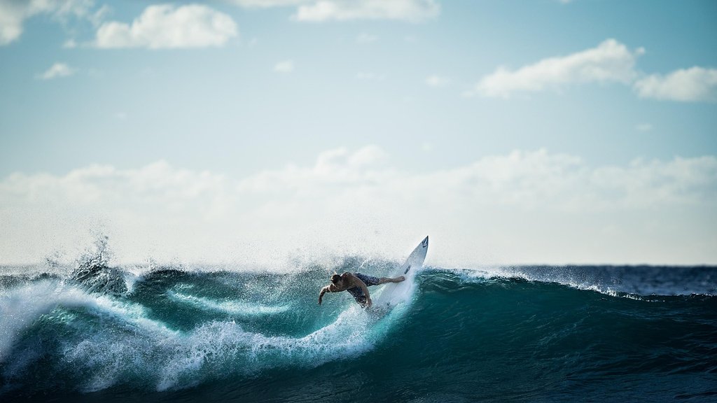 turq-surfer.jpg