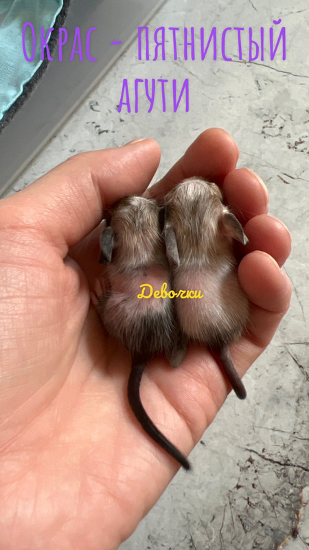 21FA81DA-8A0C-4EDC-98C4-6D2941E859D5