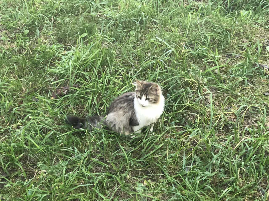 0042ECF3-450A-4776-99DB-3288661C3B9A