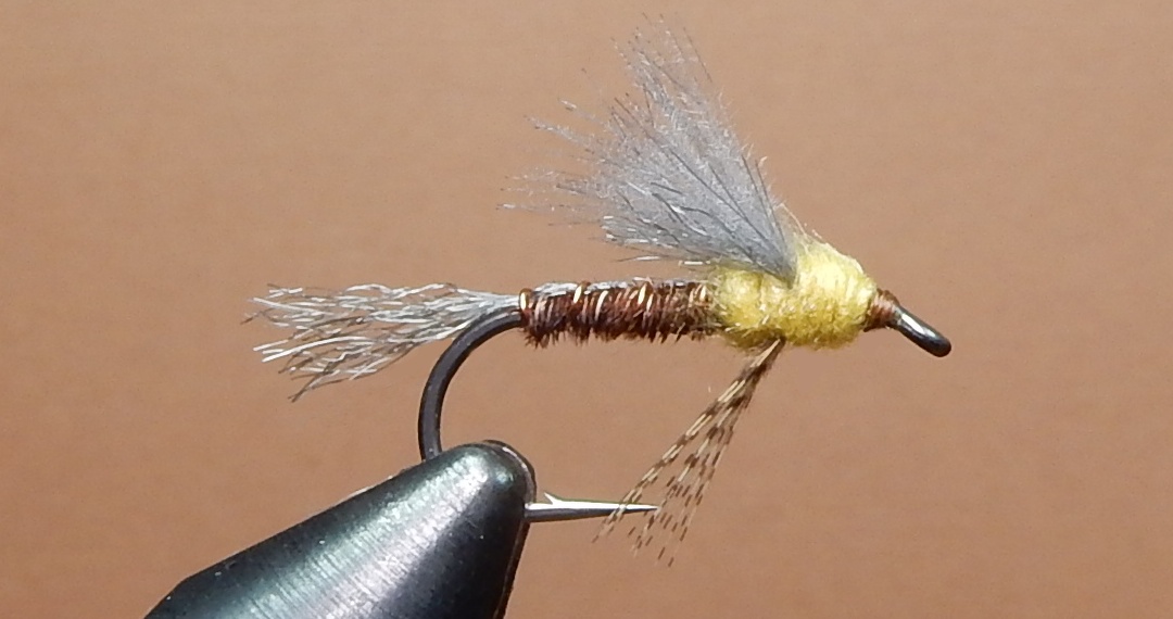 PMD-PT-Emerger-1080.jpg