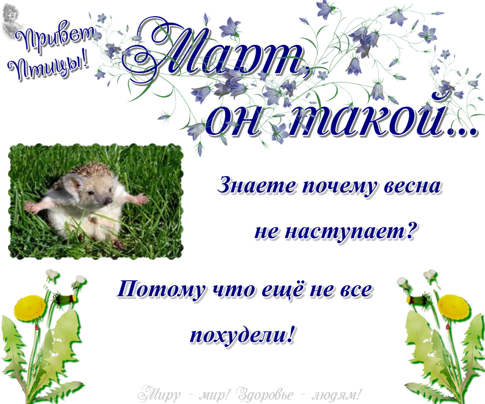 https://i.postimg.cc/BnQCKHmD/13-03.png