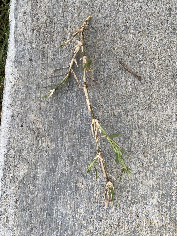 C7B7BE5C-F8F2-4837-B7A5-B700B5370BDB