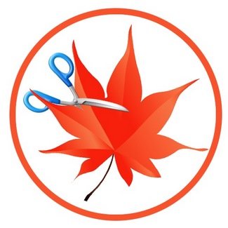 Easy Cut Studio 5.014 Multilingual
