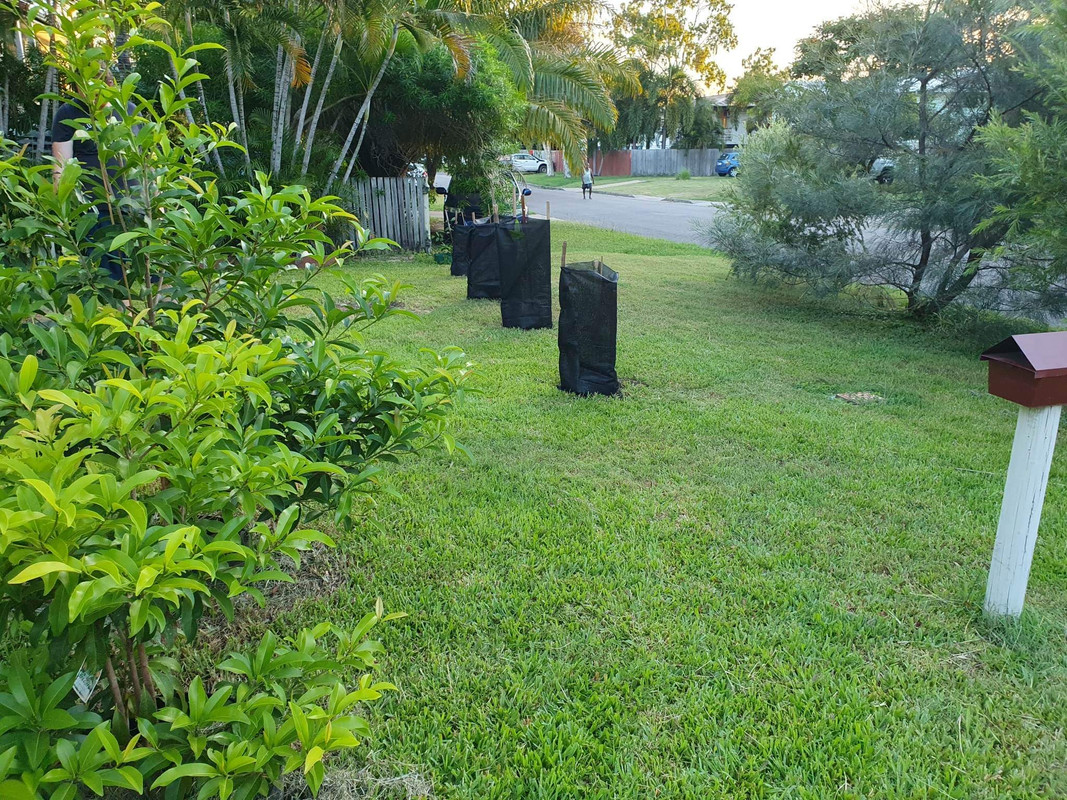 D84A7065-9F60-4B7D-B80E-9AC55E2BC165