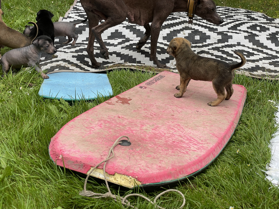 A3C637EE-F107-4617-B8E8-1D26E42E7E77