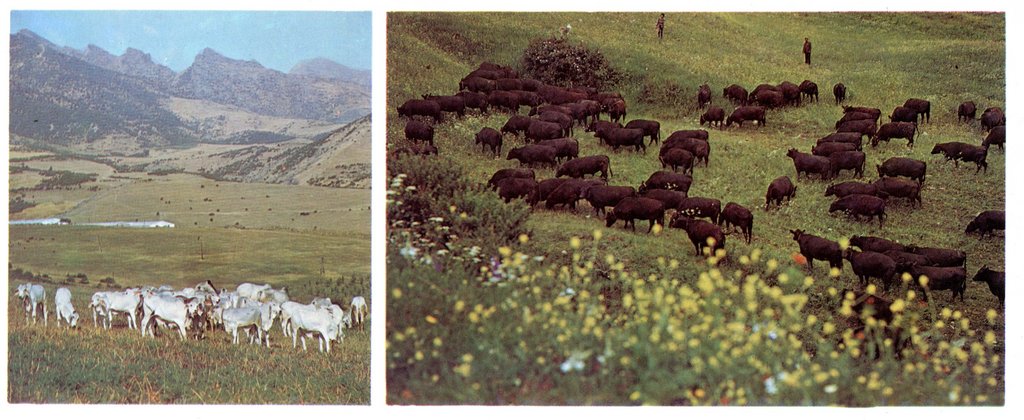 Советский Азербайджан 