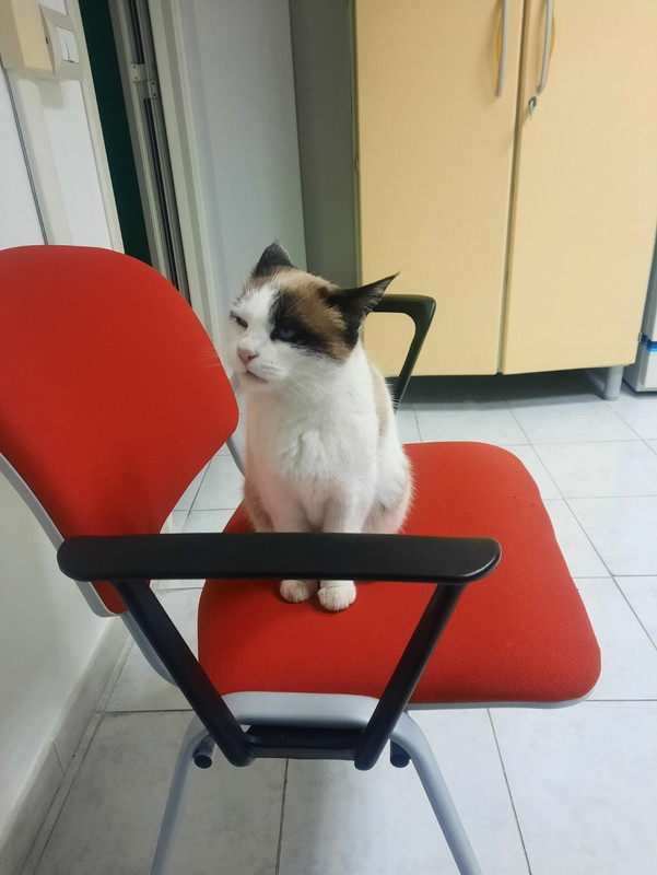 Screenshot_20230124-155040_Gallery