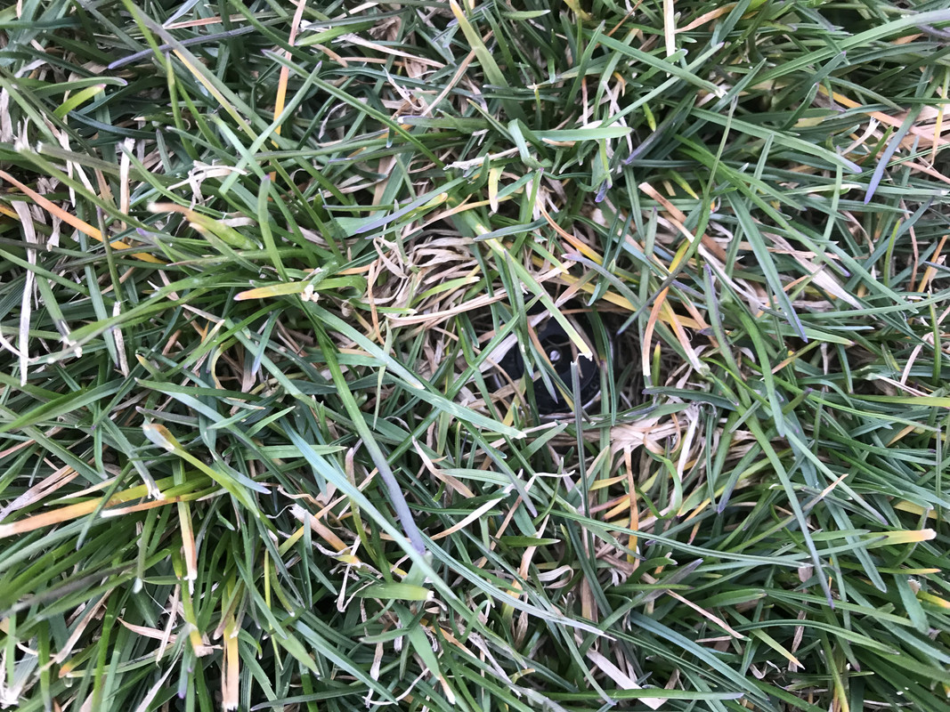 54FAD011-FAB4-4D5D-88DA-BB46891680AD