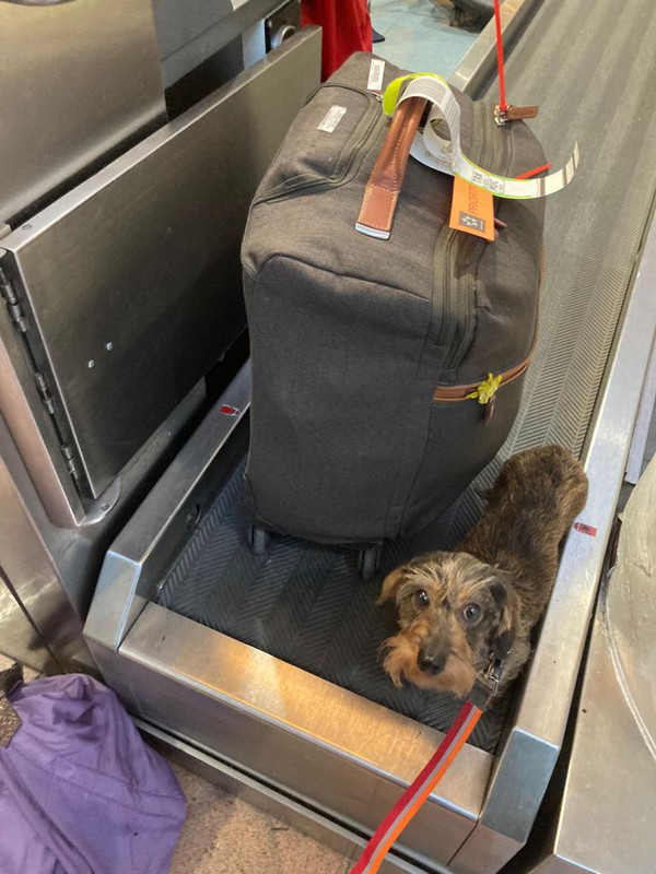 [Image: IMG-20221211-WA0002.jpg]