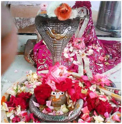 paliwalwani