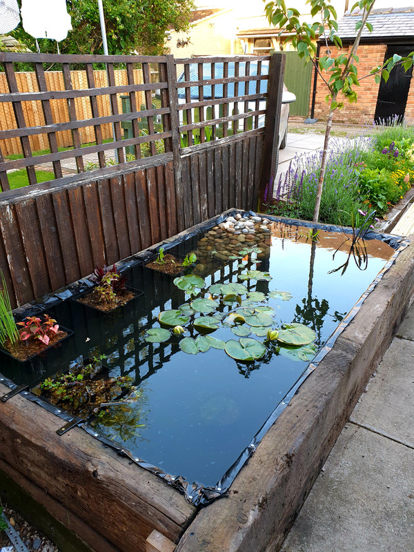 new wildlife pond, two day build - Your Pond Forum - Pond Life