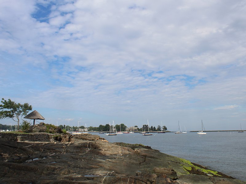 Larchmont07312020-2.jpg