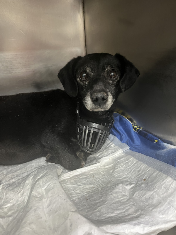 84EEAD0D-82ED-44AE-A4D0-43B2321079D6