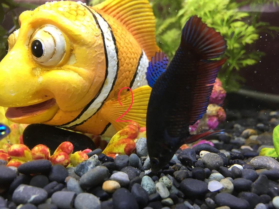 A65D7A49-92EE-49D0-83FE-905825837FA9