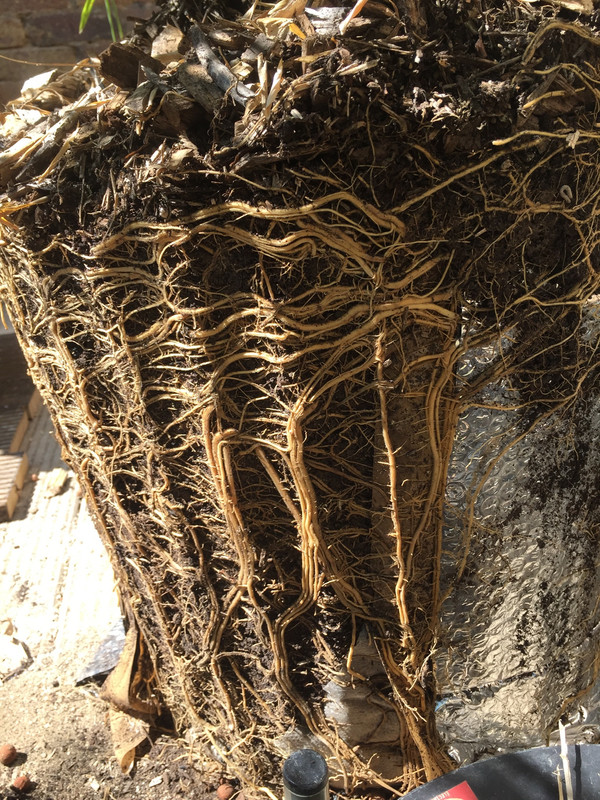 A22D8E5C-A8AA-4CF0-A7EA-62B90B9AD41A