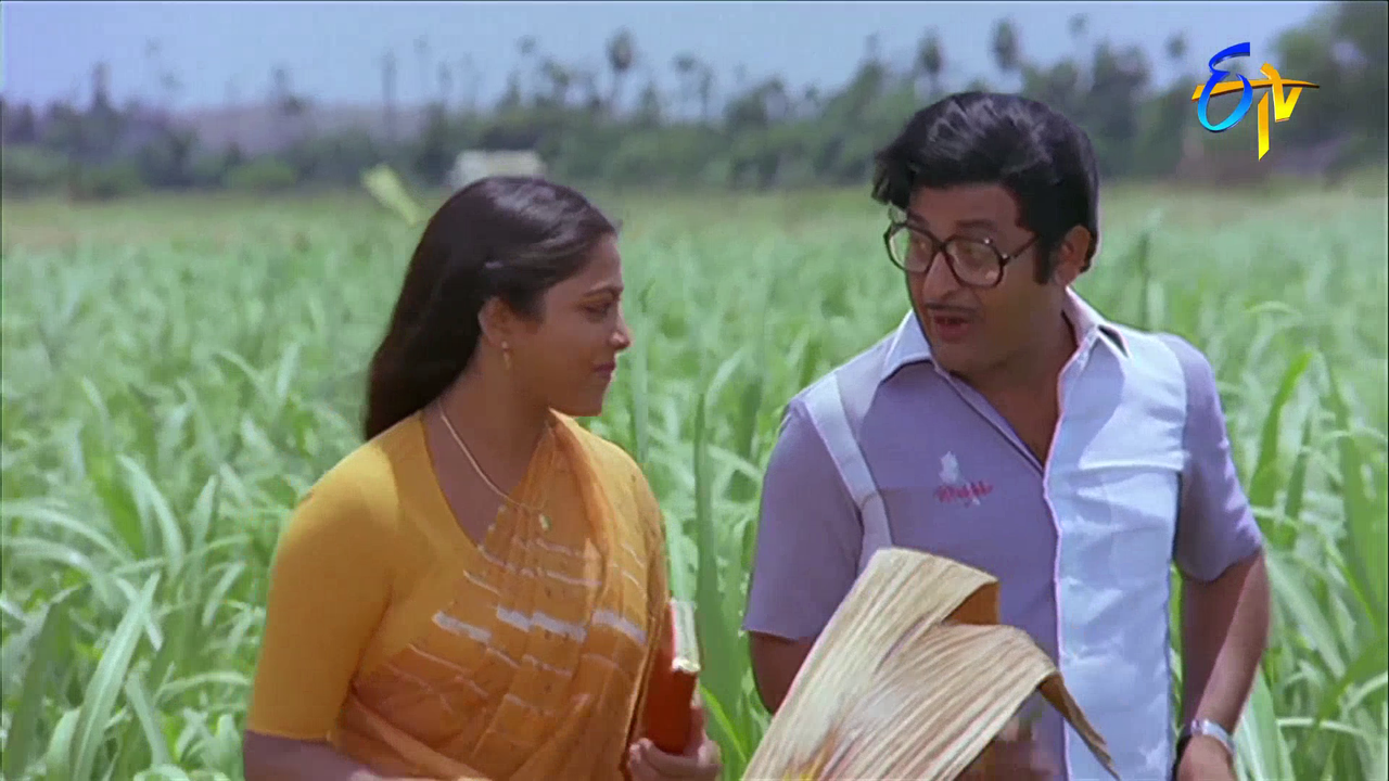 vlcsnap 2026 02 04 14h01m18s663