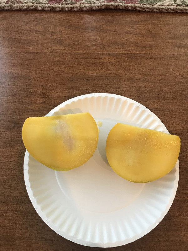 5EA35632-B437-4FD8-8088-39771E92F9D8