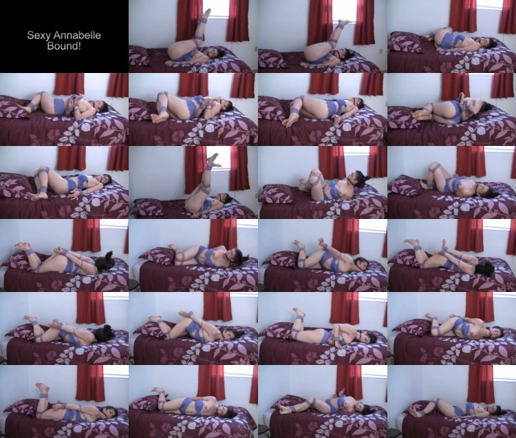 634635133Bdms