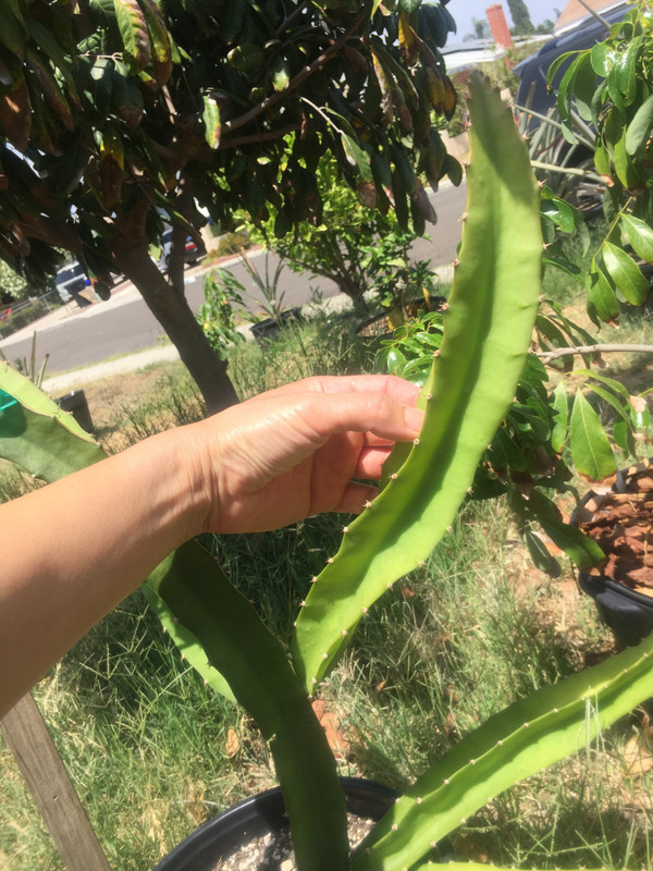 0BC3857C-5659-439A-966C-B1CA1FF35315