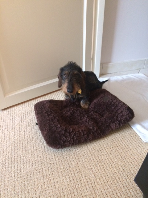 [Image: IMG-2599.jpg]