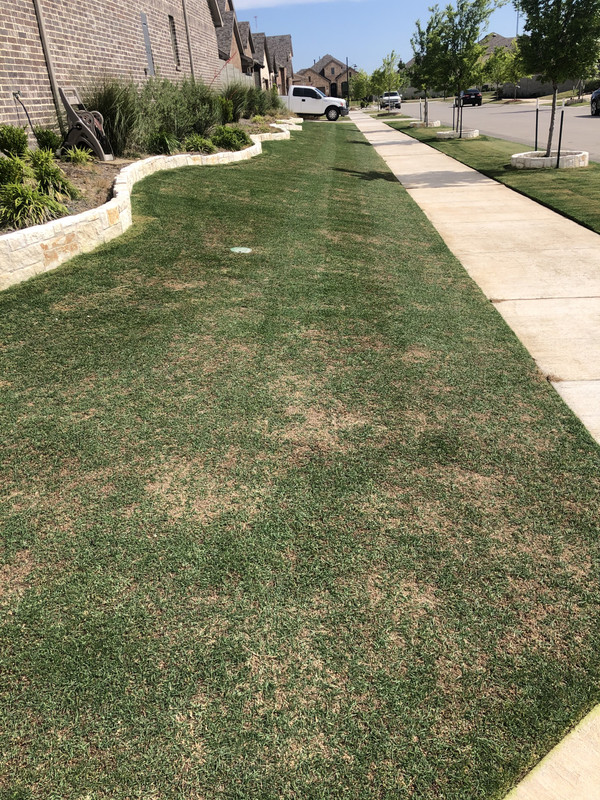 363A08A6-DB11-45CF-BCD0-312672F85AEB