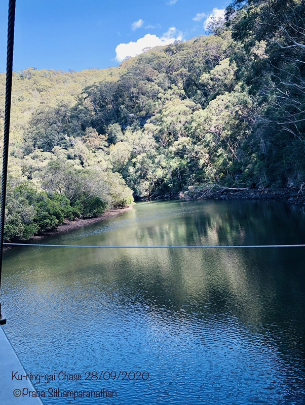 B6-BE3-EE8-49-EC-4-CA3-8-BFB-055-E9-B423