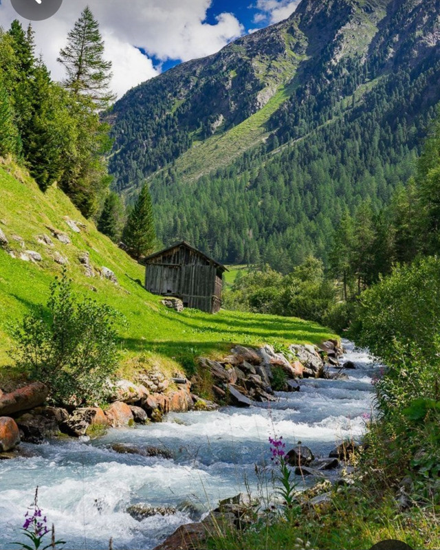 Screenshot_20240320_231224_Pinterest