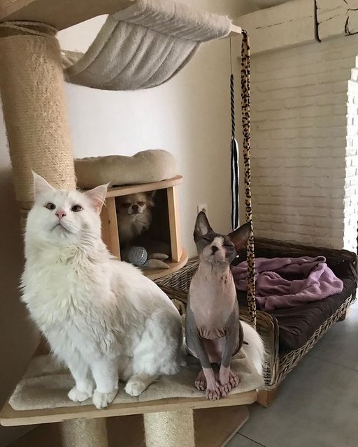 118599689-344867136886291-5785499542937870392-n