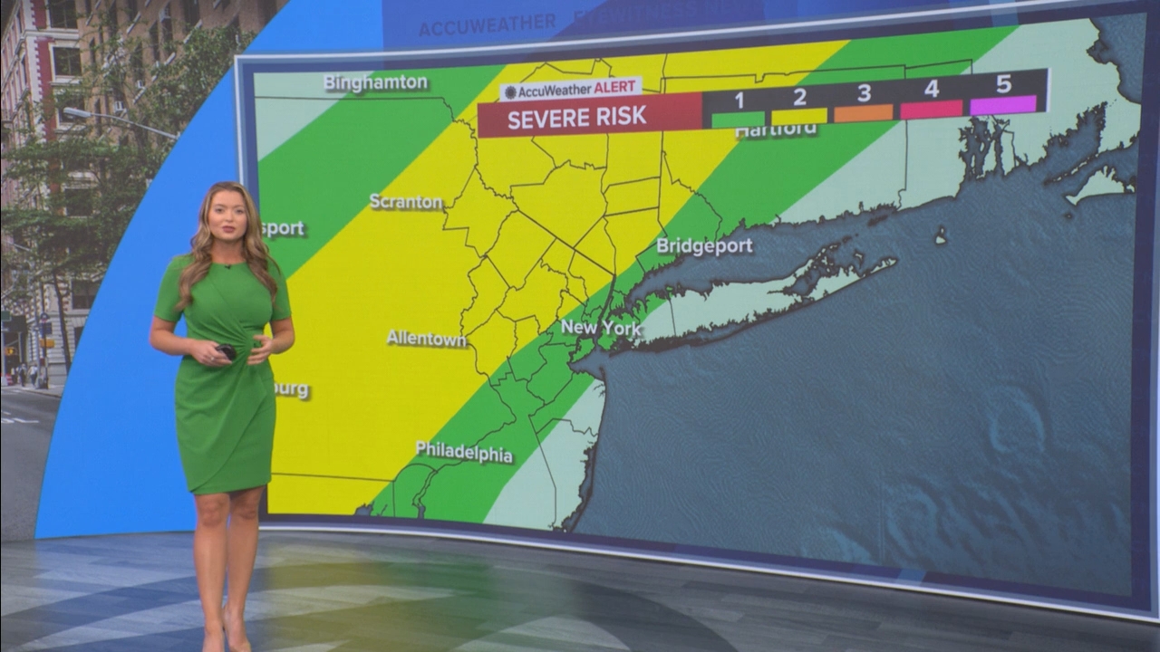 Eyewitness News This Morning_20250503_14001500.ts_snapshot_20.25.031