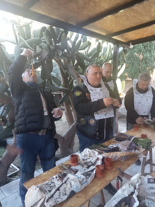 WhatsApp Image 2023-01-21 at 16.10.25 (1)