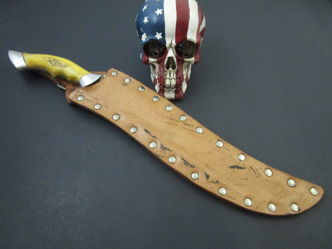 Steve Tedford Stag (13)