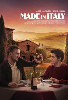 Made in Italy - Una casa per ritrovarsi (2020).mkv BDRip 1080p x264 AC3 iTA-ENG DTS ENG