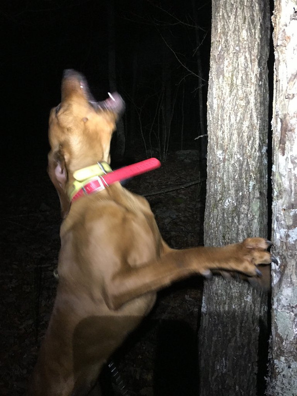 3DEDA7D4-0758-4F90-BD9B-4EA51FDB43F3