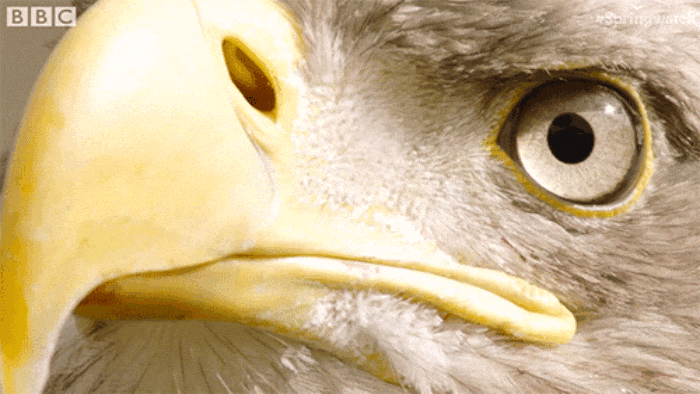 GIF-20250829-080430-175.gif